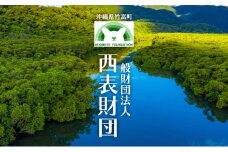一般財団法人西表財団
