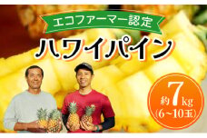 《2025年先行予約》ハワイパイン約7kg 【お届け：2025年6月中旬～7月下旬】【農園ファイミール 完熟 果物 フルーツ パイン パイナップル】