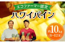《2025年先行予約》ハワイパイン約10kg 【お届け：2025年6月中旬～7月下旬】【農園ファイミール 完熟 果物 フルーツ パイン パイナップル】