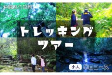 西表島 半日森林浴滝トレッキングツアー【体験可能期間:11月1日～4月30日】小人1名分【 旅行 体験チケット 西表島ツアー 大自然 体験ツアー 観光 沖縄 森林浴 滝 トレッキング アクティビティ】