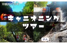【夏季限定】西表島 森林浴キャニオニングツアー【体験可能期間:5月1日～10月31日】小人1名分【 旅行 体験チケット 西表島ツアー 大自然 体験ツアー 観光 沖縄 森林浴 キャニオニング アクティビティ】