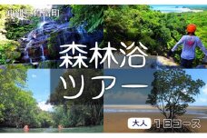 西表島 森林浴1日ツアー 大人1名分 【 旅行 体験チケット 西表島ツアー 大自然 体験ツアー 観光 沖縄 森林浴 アクティビティ】