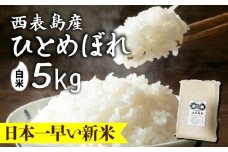 新米ひとめぼれ(白米)5kg【米・白米・新米・ひとめぼれ】