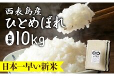 新米ひとめぼれ(白米)10kg【米・白米・新米・ひとめぼれ】