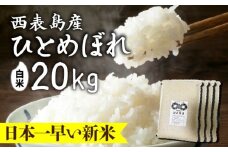 新米ひとめぼれ(白米)20kg【米・白米・新米・ひとめぼれ】