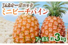 2026年 先行予約 パイナップル ついに実現！転換期間中　JASオーガニック ミニピーチ 3kg (7～8玉) 果物 フルーツ