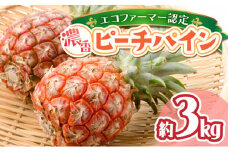 濃香ピーチパイン 約3kg 【E】★絶品★　2026年 先行予約 栽培期間中 農薬不使用 西表島 濃香 初エコファーマー認定【036-a002】
