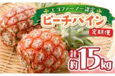 定期便 2ヶ月 絶品ピーチパイン 約7.5kg 【F-SOU/F】 2026年 先行予約 ★ファミリーサイズ★ 西表島 初エコファーマー認定 2回 お楽しみ 果物 フルーツ 【036-a006】