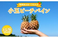 2026年 先行予約 小玉 ピーチパイン 約3.5kg 6～9玉 ★西表島ふる～つらんど★美味しさギュッと！ 果物 フルーツ パイン