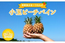 2026年 先行予約 小玉 ピーチパイン 約9kg 16～23玉 ★西表島ふる～つらんど★美味しさギュッと！果物 フルーツ パイン