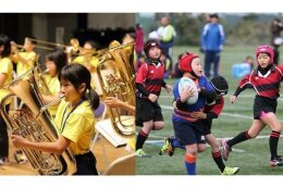 文化芸術又はスポーツの振興