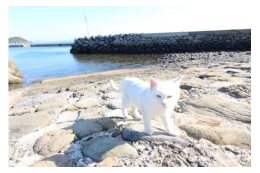 地域の元気を応援するために