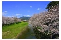 豊かな自然と共生する快適な生活基盤づくり