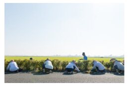 １「豊かなくらし」に関する事業