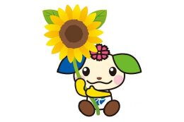 (3)多様な人々が活躍できるまちづくり事業
