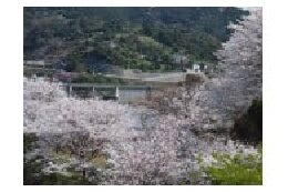 1．地域の活性化を推進する力を応援します。