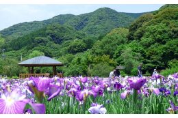 自然環境や景観づくりに関する事業