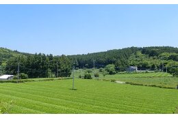 産業の振興に関する事業