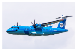 がまだせ天草エアライン
～イルカの飛行機を応援～