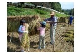 協働のまちづくりに関する事業