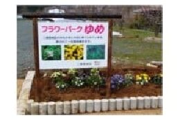 自治、協働に関する事業