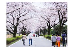 4. ふるさとを愛し、未来に夢が膨らむまちづくりに関する施策