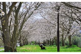 美しいまちづくりのための事業