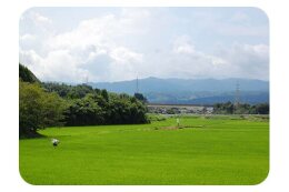 自然環境保全並びに地域景観の創造に関する事業