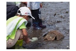 9.環境共生都市実現プロジェクト