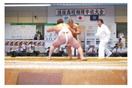 5-1.その他市長が認める事業（相撲振興）