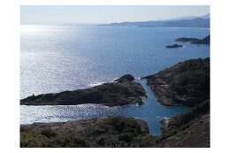 “産業・交流”の分野　～活力とにぎわいにあふれ、交流が広がり、将来にわたって誇れるまち～