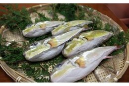 (５)産業振興・商品開発事業等
