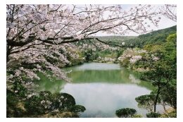 5.その他市政全般