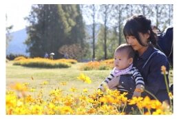 菜の花エコプロジェクト等の環境施策に関する事業(リサイクル日本一のまちの更なる進化)