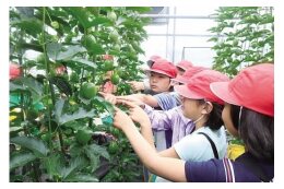 未来を担う子どもの教育環境の充実に関する事業(学力体力日本一をめざす教育環境のまち)