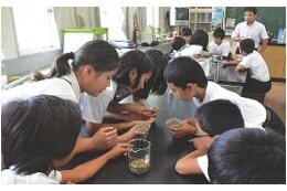 子育てや教育に関する事業