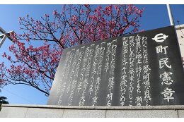 その他、この条例の目的達成に必要と町長が認める事業
