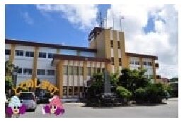 7.その他町長がふるさとづくりに必要と認める事業