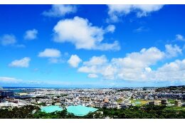 1.使途指定なし（市長におまかせ）
