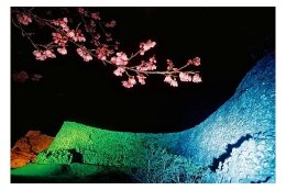 (3) 世界遺産・今帰仁城跡の保全並びに教育、文化、スポーツ活動の充実に関する事業