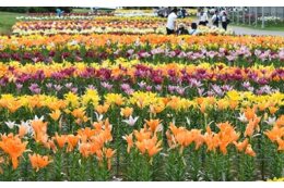1．伝統芸能並びに地域文化の継承及び育成に関する事業