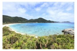 (1)環境並びに景観の保全及び美化活動に関する事業