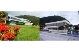 (3)青少年の健全育成及び教育環境整備に関する事業