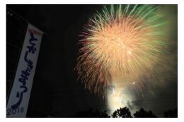(5)イベント並びに観光振興に関する事業