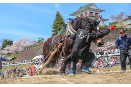 ３．ふるさとの活力あるまちづくりのための事業