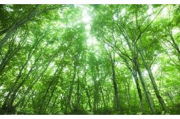 3. 地域がいつまでも輝くための事業
