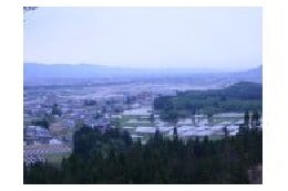 5. 上記以外で、滝沢市が将来的に発展するためのまちづくりに