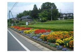 環境にやさしい故郷（環境保全事業）