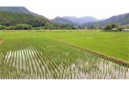 田園風景を維持するための保全の取り組み