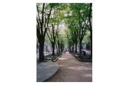街路樹・公園管理